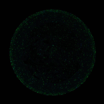 2025 Gyropalooza Particle Proton Particle