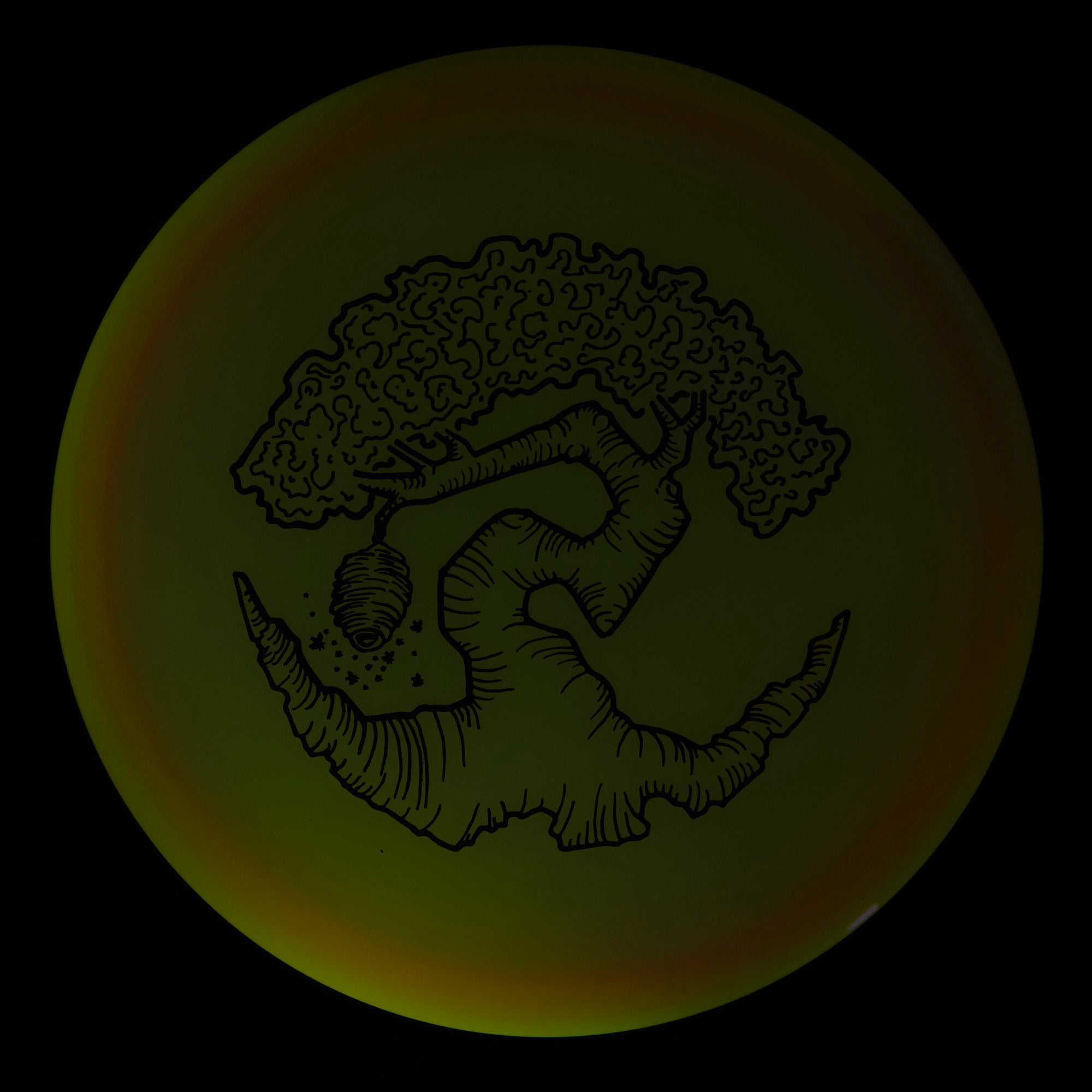 Faylor Lake Special Edition Glo Z FLX Swarm