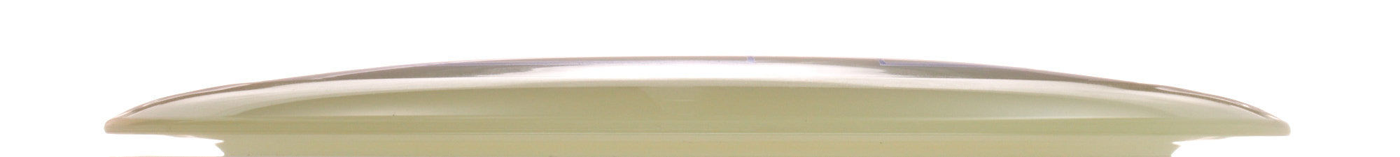 Proto Glow Champion Tern