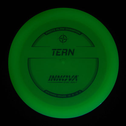 Proto Glow Champion Tern