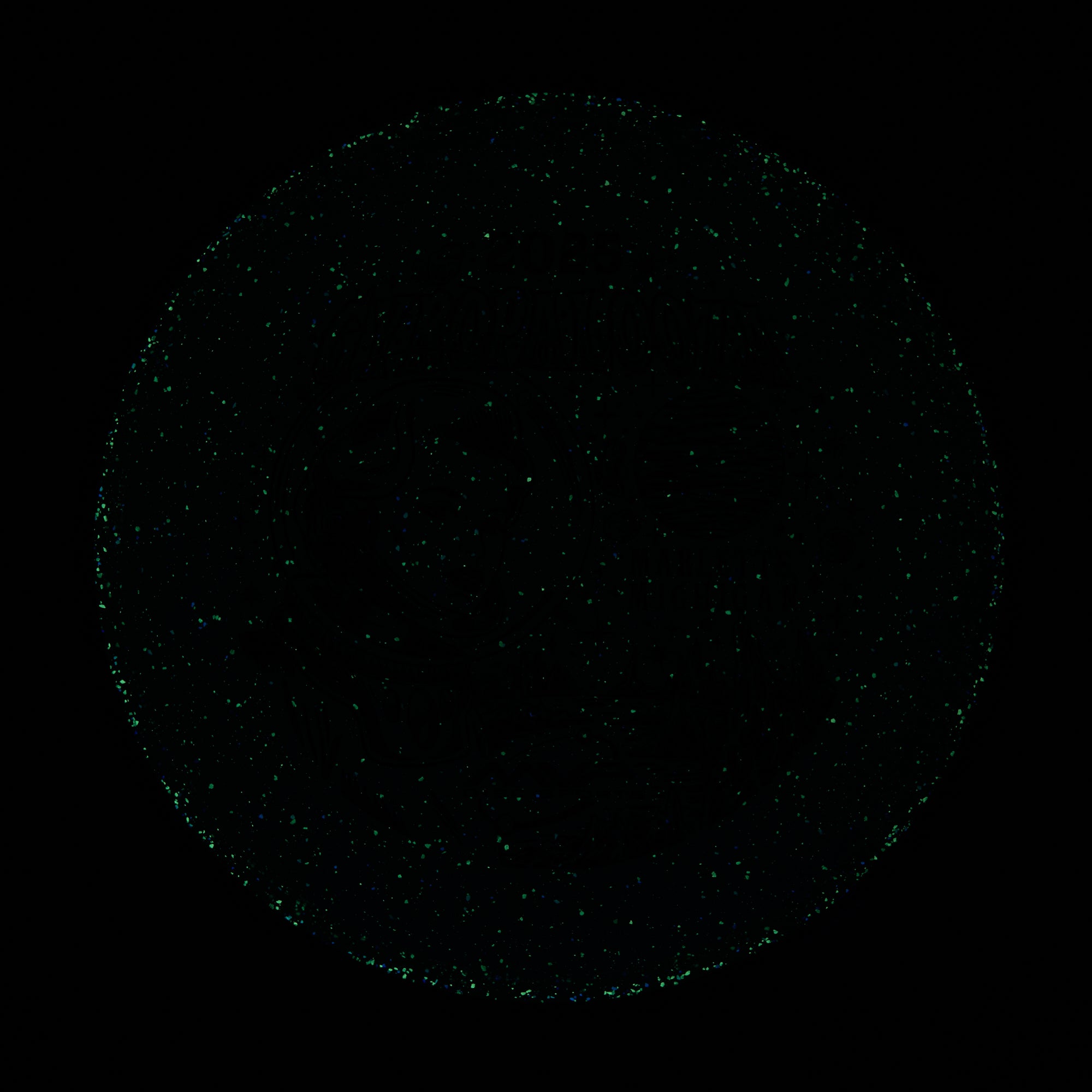 2025 Gyropalooza Particle Proton Particle