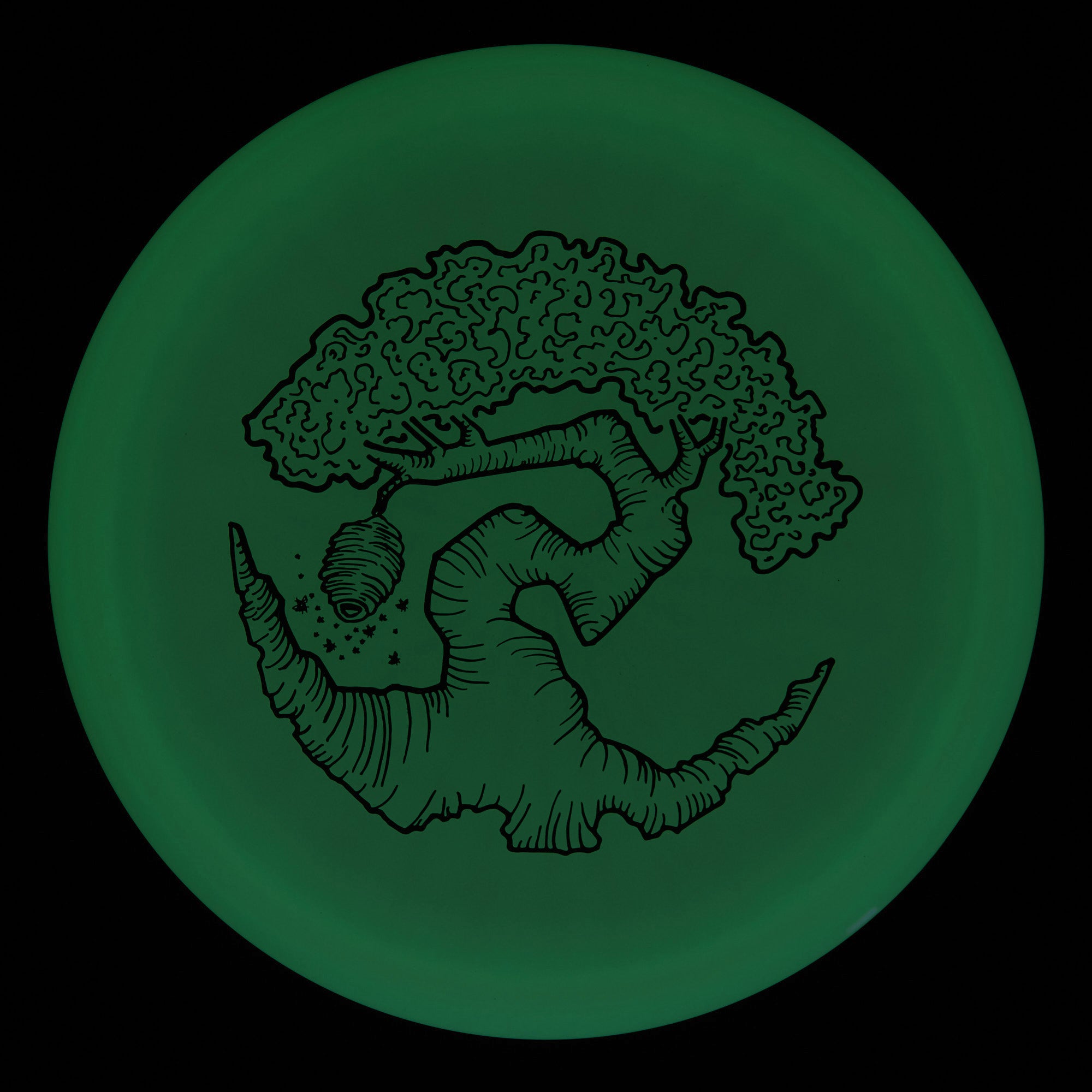 Faylor Lake Special Edition Glo Z FLX Swarm