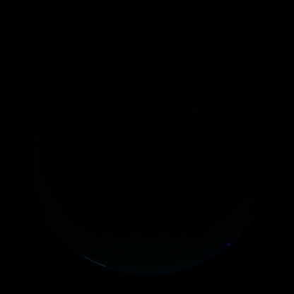 Jesse Longenecker National Champion 750 Glow F9