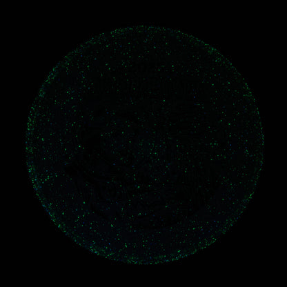 2025 Gyropalooza Particle Proton Particle