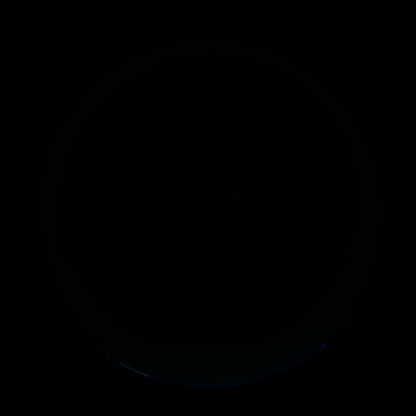 Jesse Longenecker National Champion 750 Glow F9