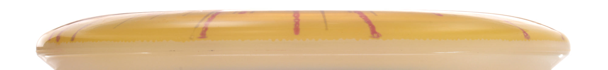 I-Dye Champion Aviar