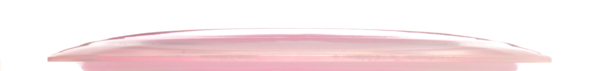 Heidi Laine 2025 Team Series VIP-X Ring Stag