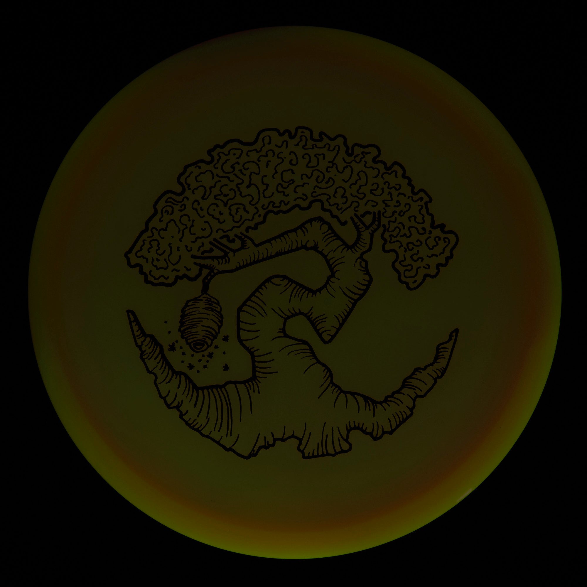 Faylor Lake Special Edition Glo Z FLX Swarm