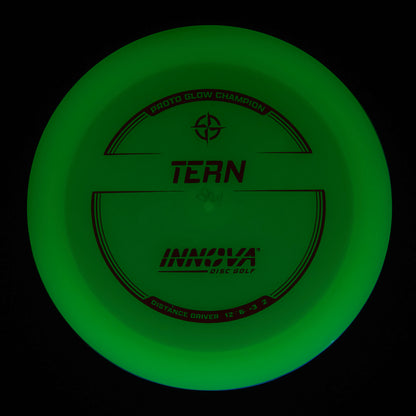 Proto Glow Champion Tern