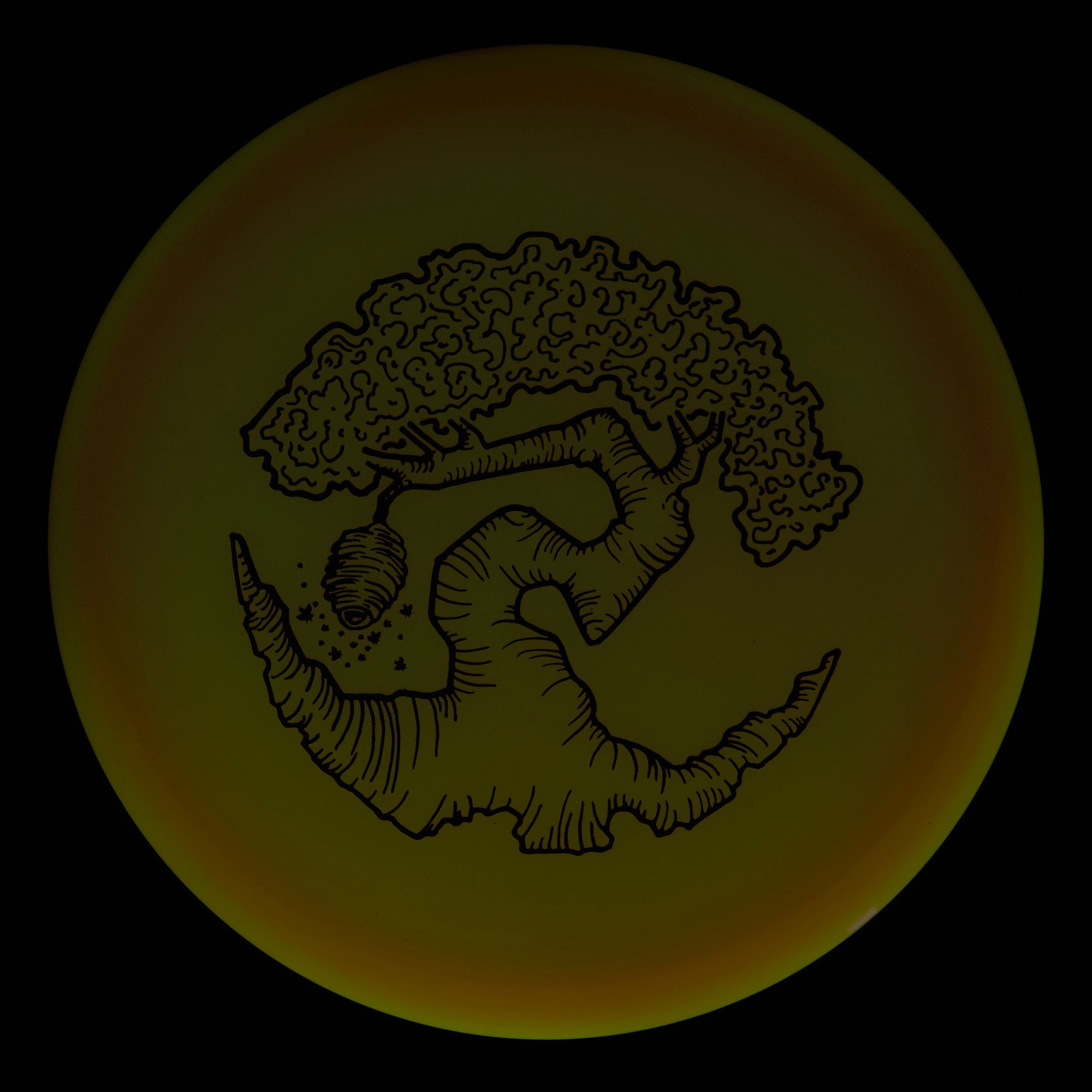 Faylor Lake Special Edition Glo Z FLX Swarm