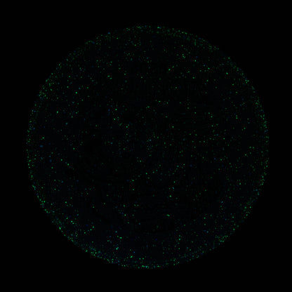 2025 Gyropalooza Particle Proton Particle