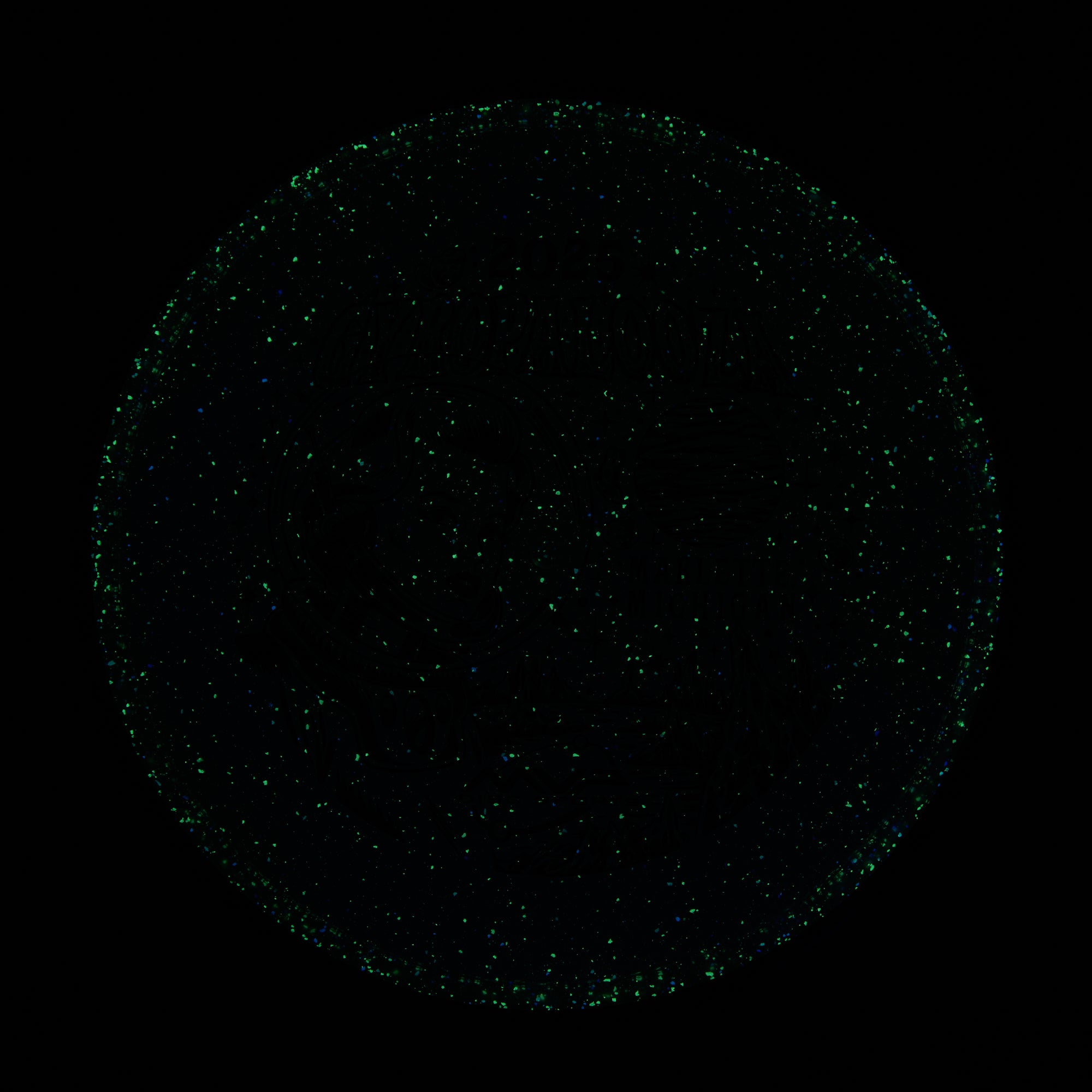 2025 Gyropalooza Particle Proton Particle