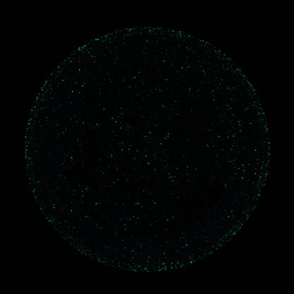 2025 Gyropalooza Particle Proton Particle