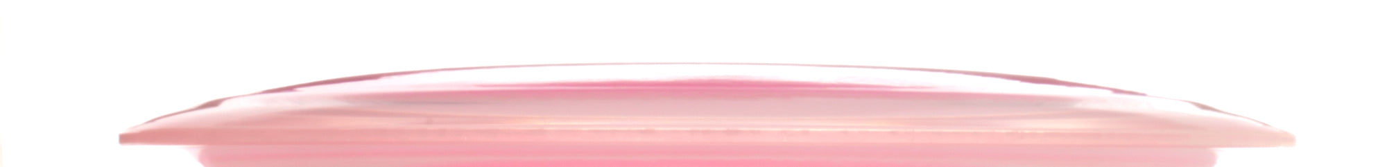 Heidi Laine 2025 Team Series VIP-X Ring Stag