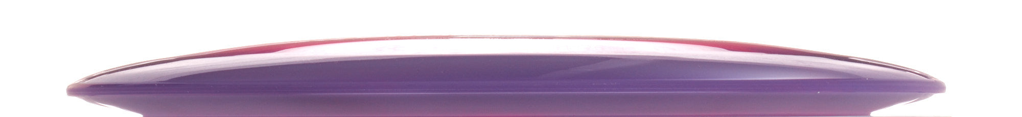 Holly Finley Team Champion Series Halo Champion Roadrunner