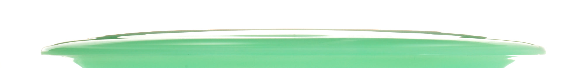 Champion Thunderbird