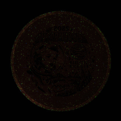 2025 Gyropalooza Particle Proton Particle