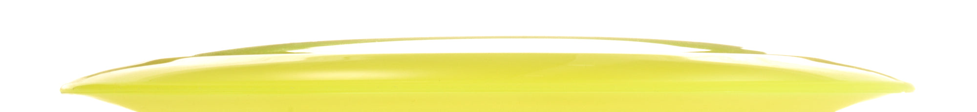 Barry Schultz 2x World Champion Champion Beast