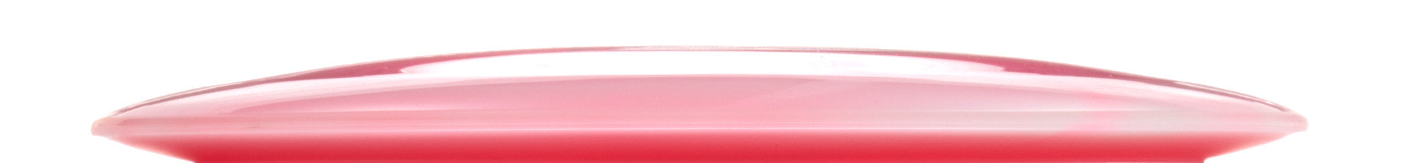 Holly Finley Team Champion Series Halo Champion Roadrunner