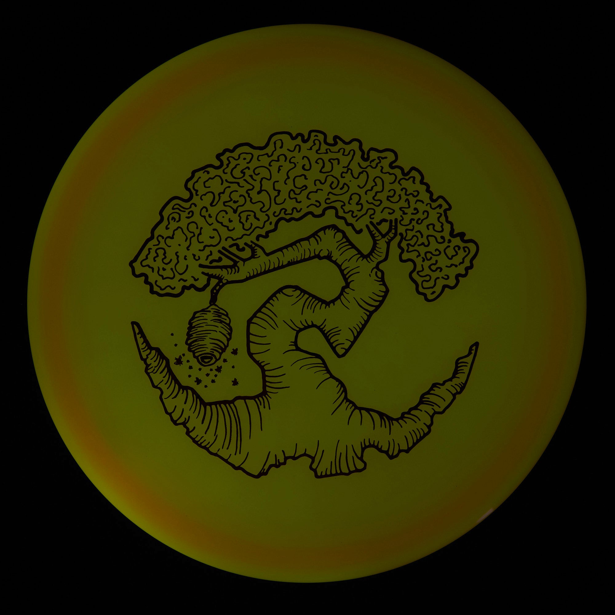 Faylor Lake Special Edition Glo Z FLX Swarm