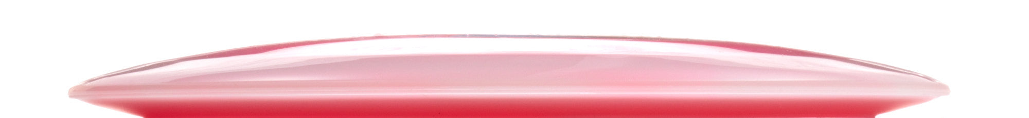 Holly Finley Team Champion Series Halo Champion Roadrunner