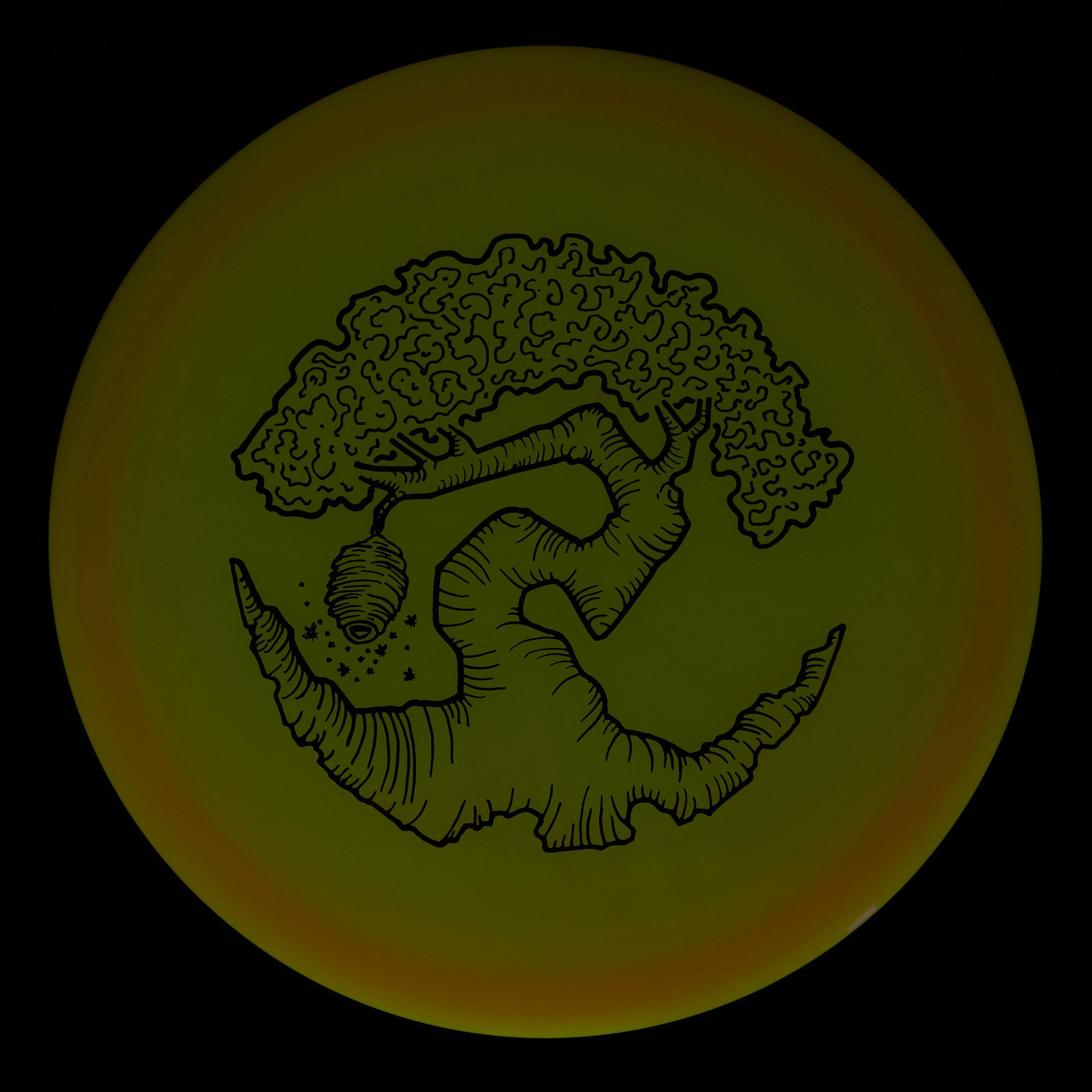 Faylor Lake Special Edition Glo Z FLX Swarm