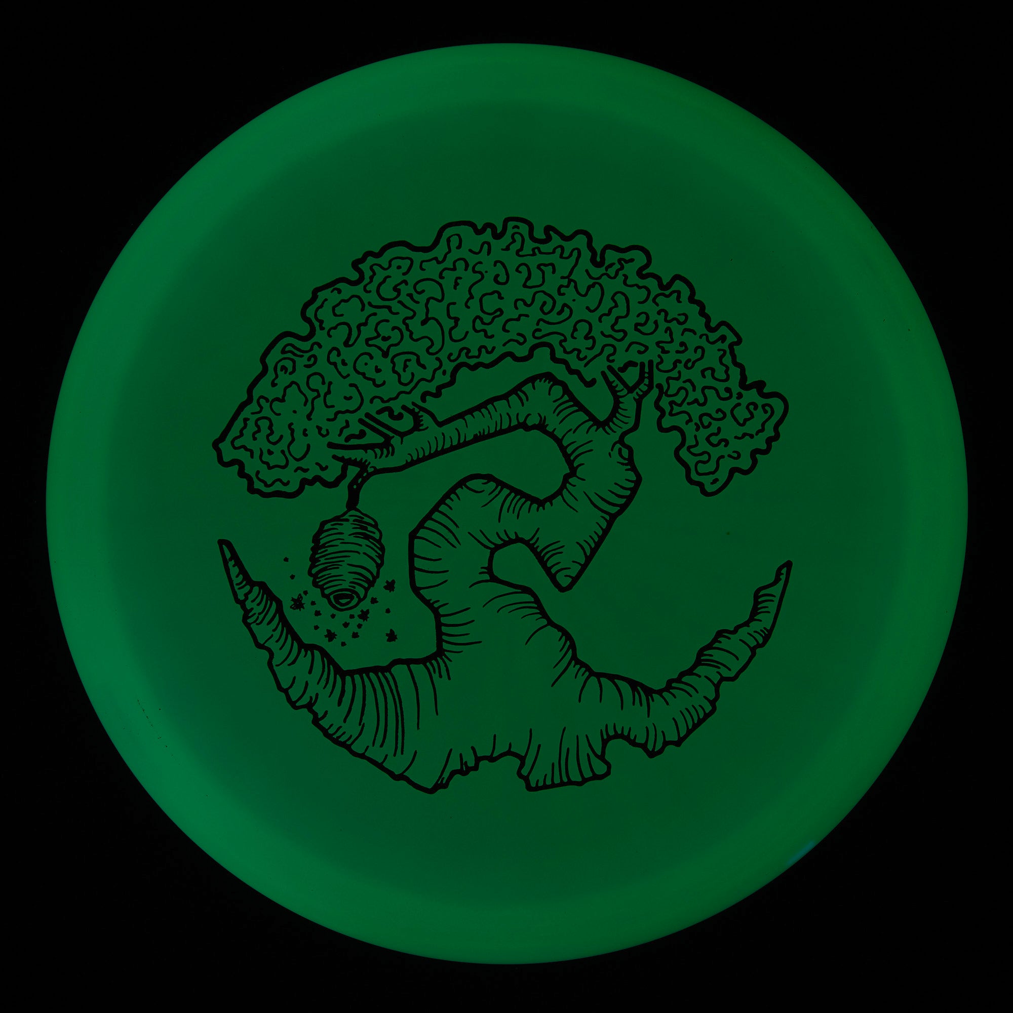 Faylor Lake Special Edition Glo Z FLX Swarm