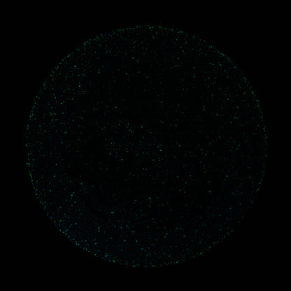 2025 Gyropalooza Particle Proton Particle
