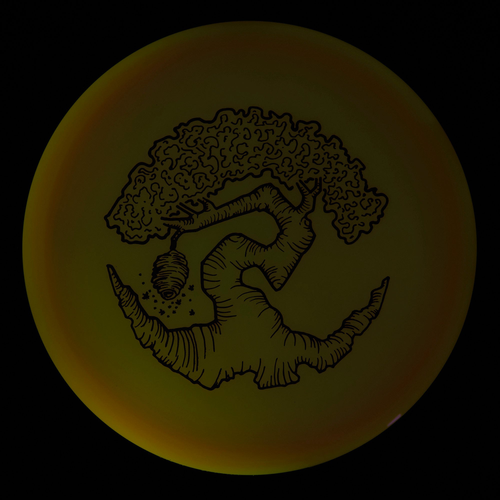 Faylor Lake Special Edition Glo Z FLX Swarm