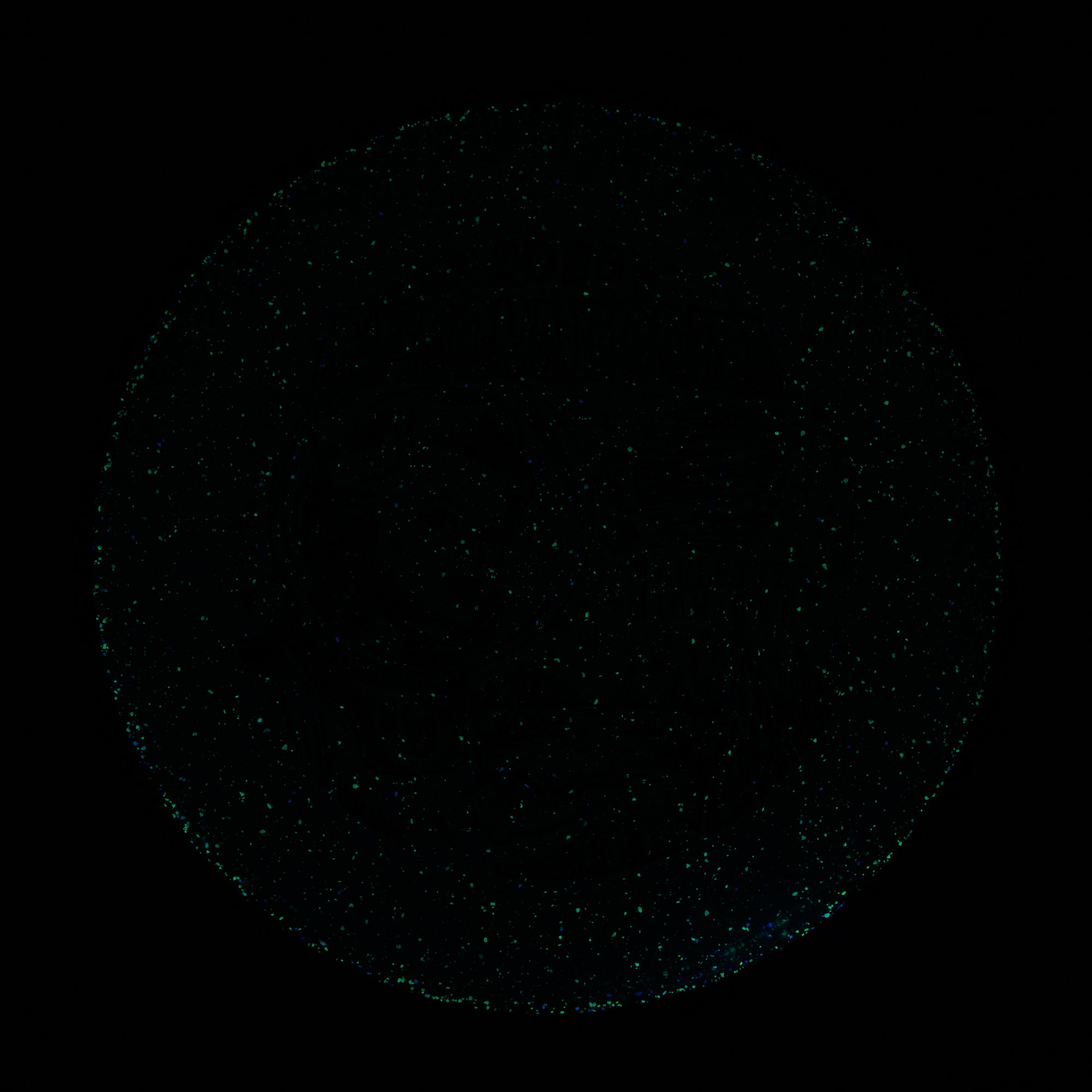 2025 Gyropalooza Particle Proton Particle