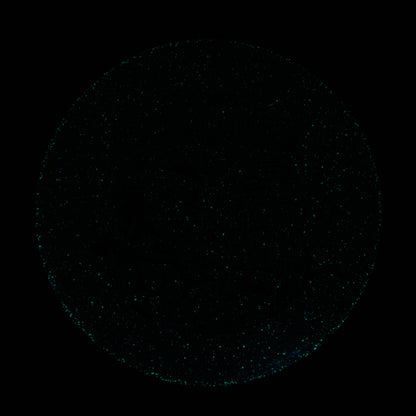 2025 Gyropalooza Particle Proton Particle