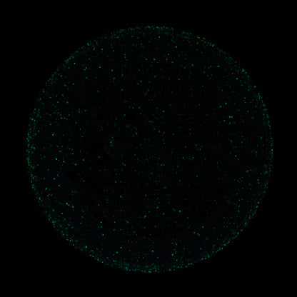 2025 Gyropalooza Particle Proton Particle