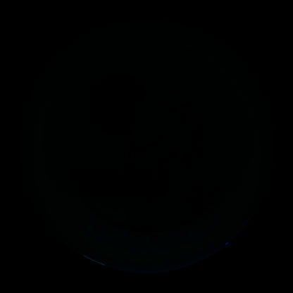 Jesse Longenecker National Champion 750 Glow F9