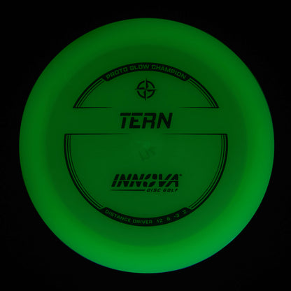 Proto Glow Champion Tern