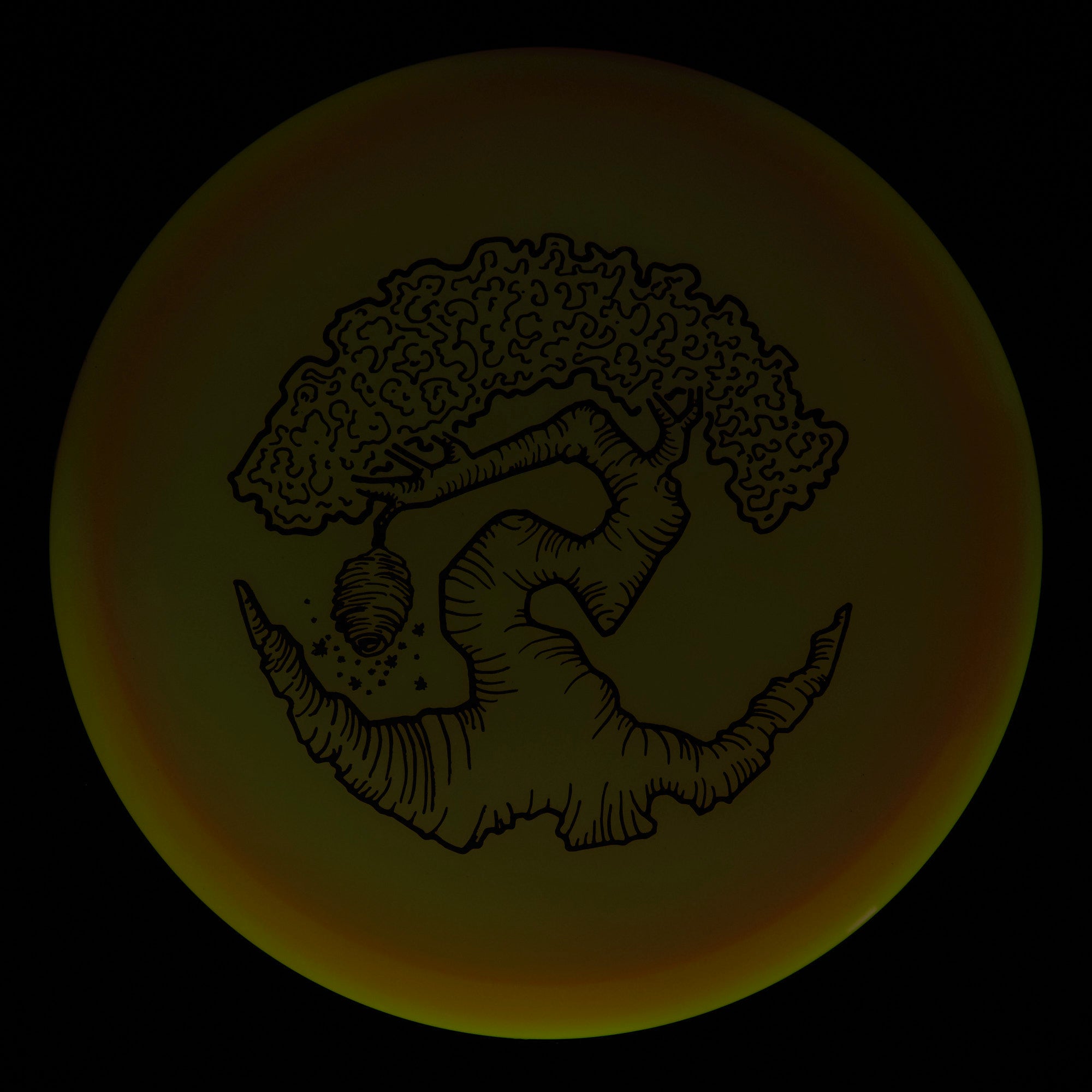 Faylor Lake Special Edition Glo Z FLX Swarm