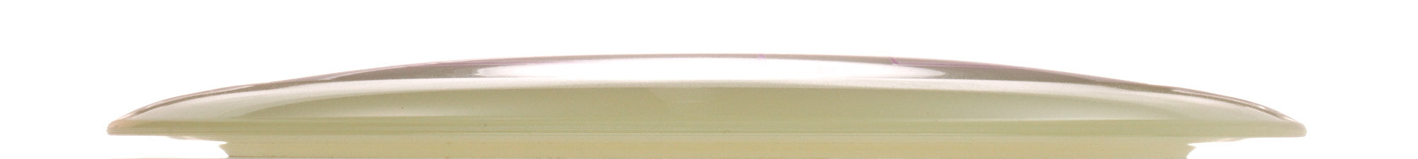 Proto Glow Champion Tern