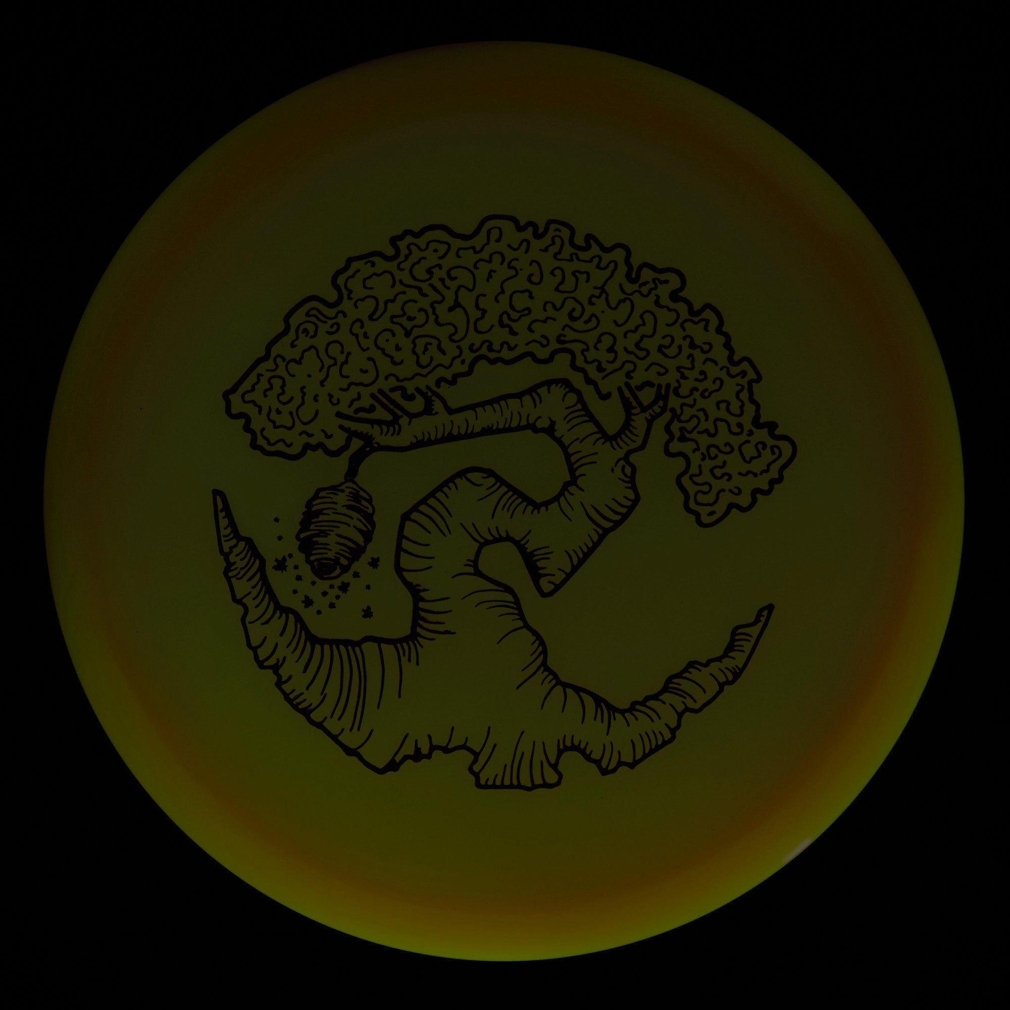 Faylor Lake Special Edition Glo Z FLX Swarm