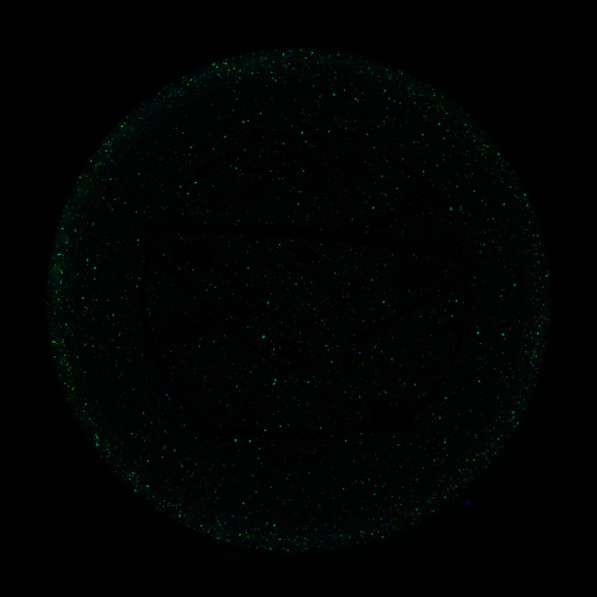 2025 Gyropalooza Particle Proton Pyro
