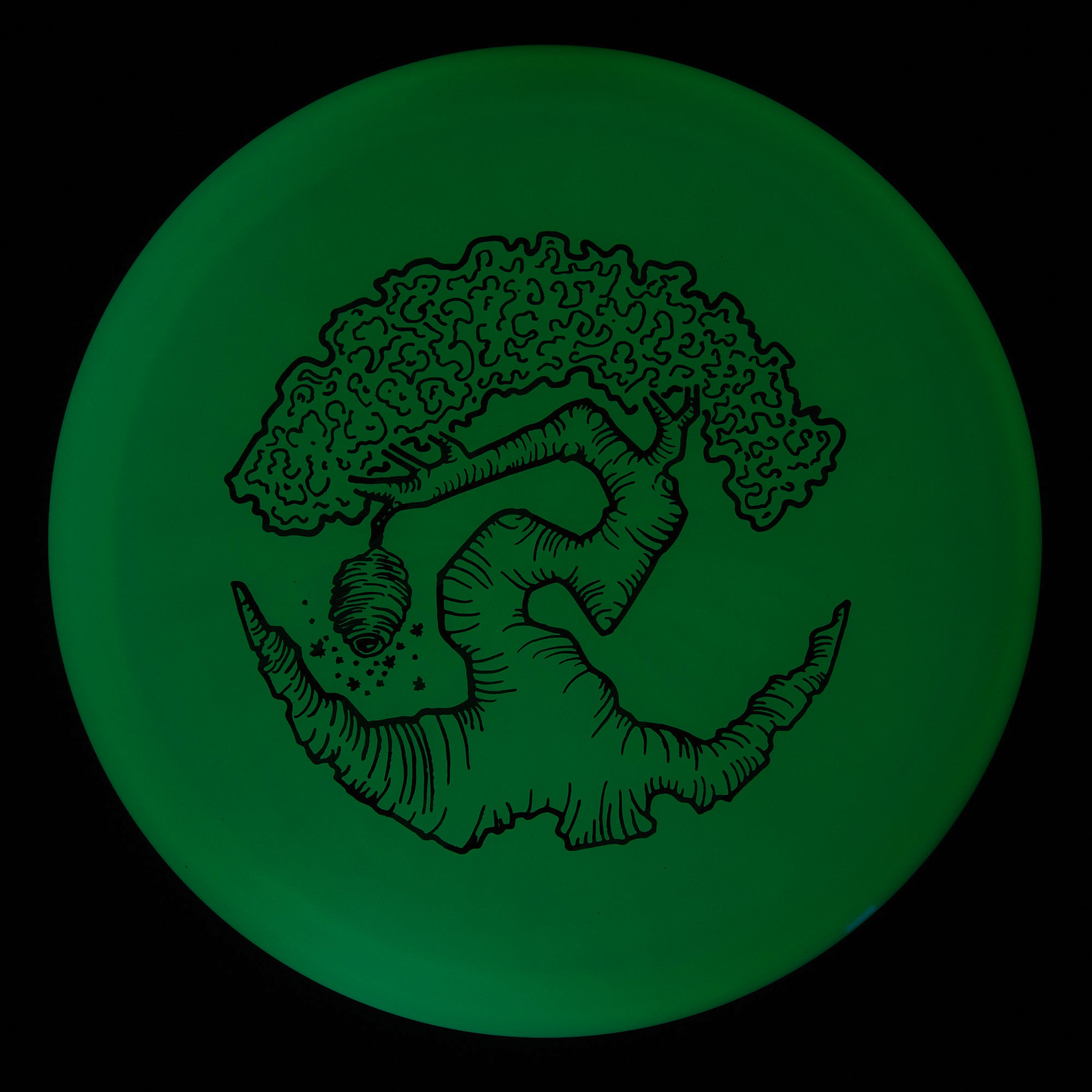 Faylor Lake Special Edition Glo Z FLX Swarm
