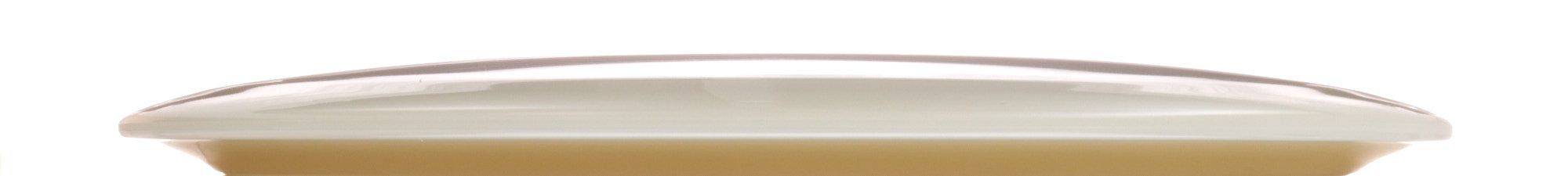K1 Glow Idog