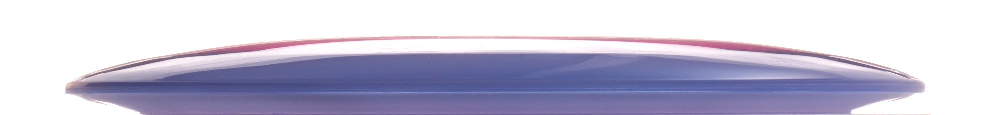 Holly Finley Team Champion Series Halo Champion Roadrunner