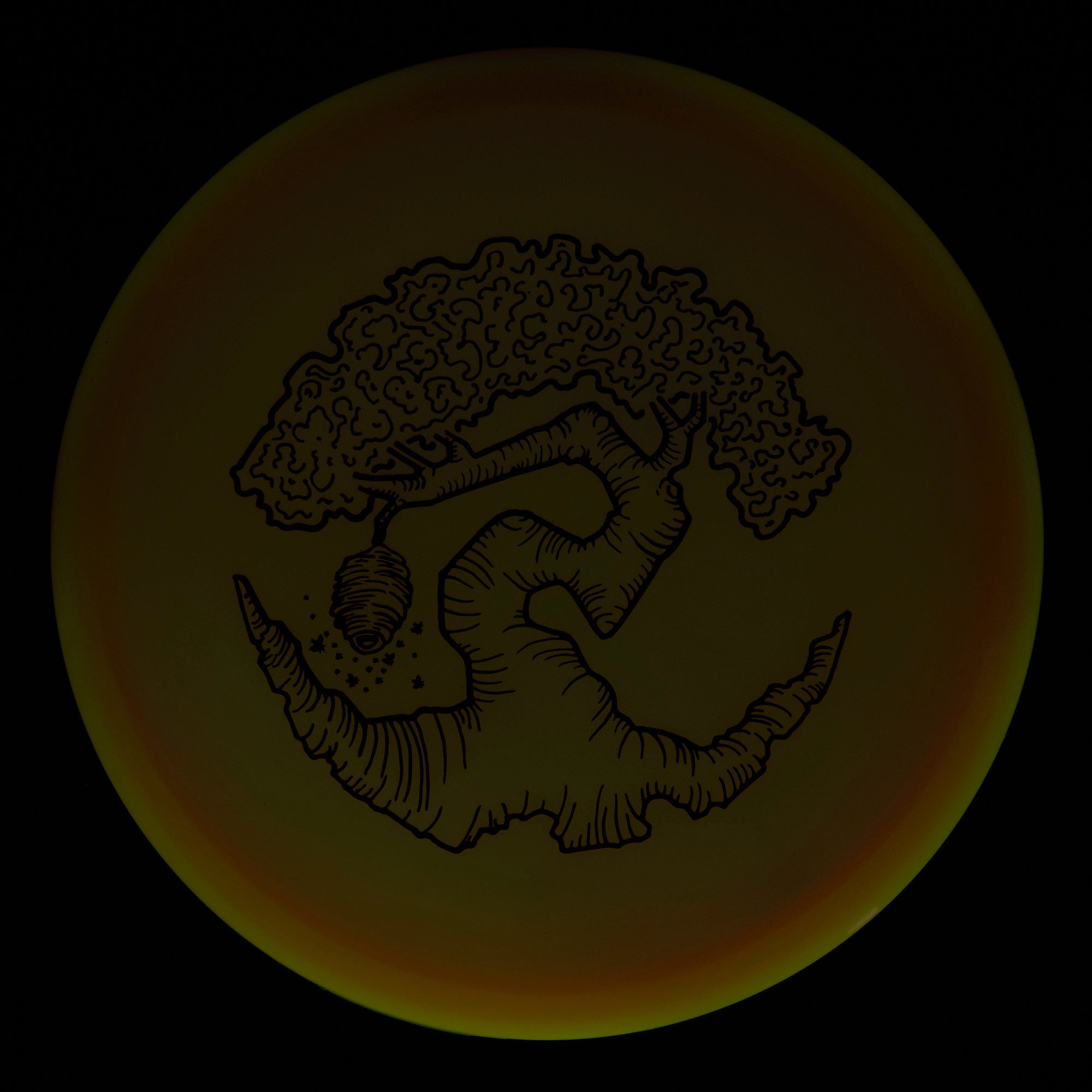 Faylor Lake Special Edition Glo Z FLX Swarm