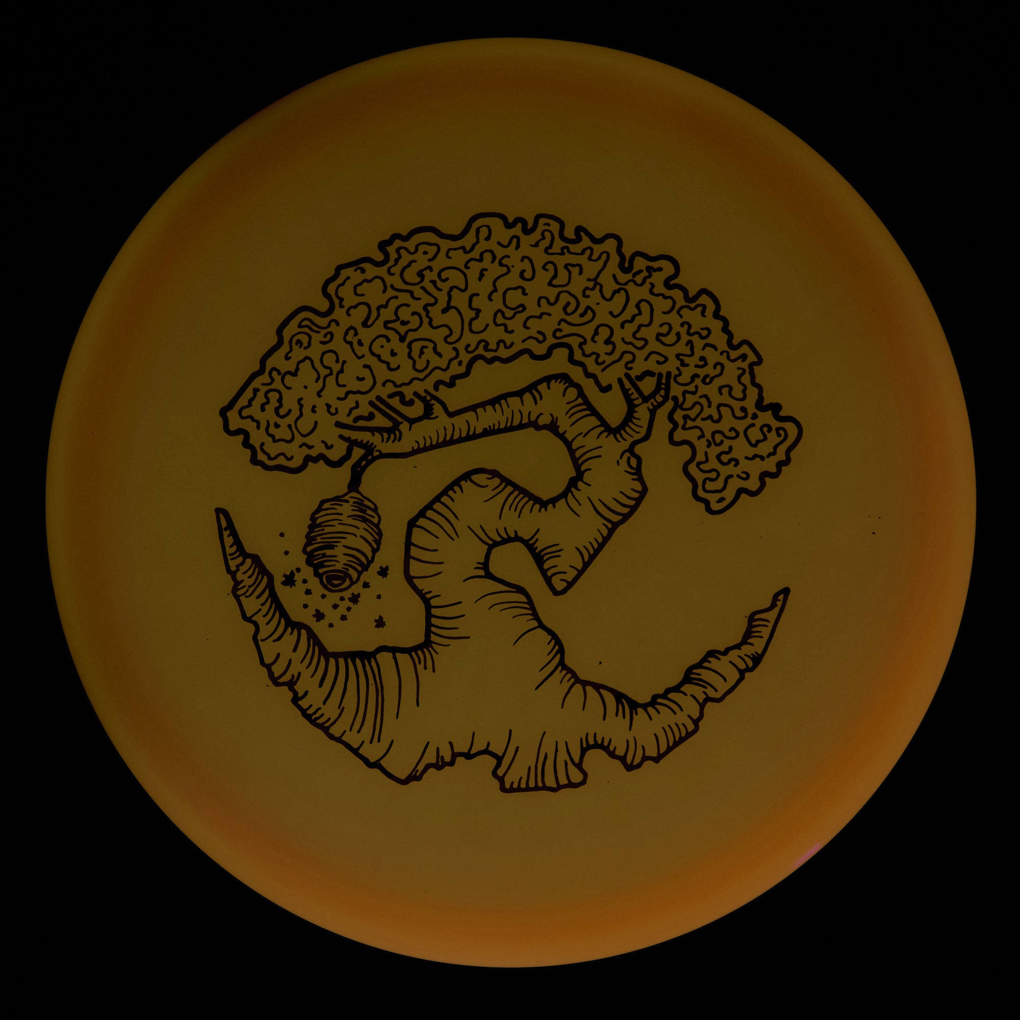 Faylor Lake Special Edition Glo Z FLX Swarm