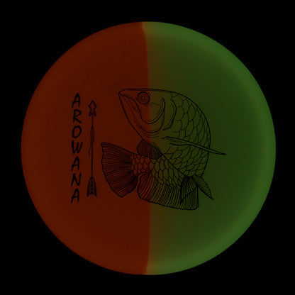 glO-G Arowana