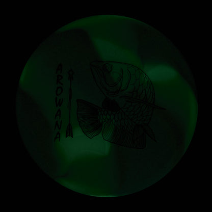 glO-G Arowana