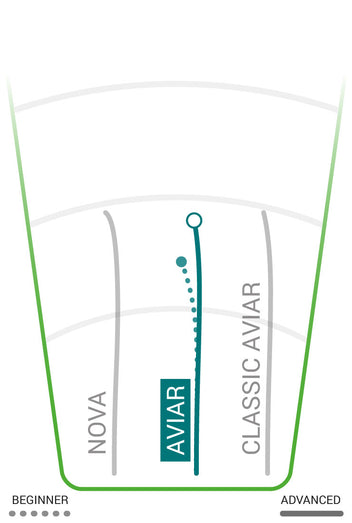 Innova - Aviar – Treemagnets