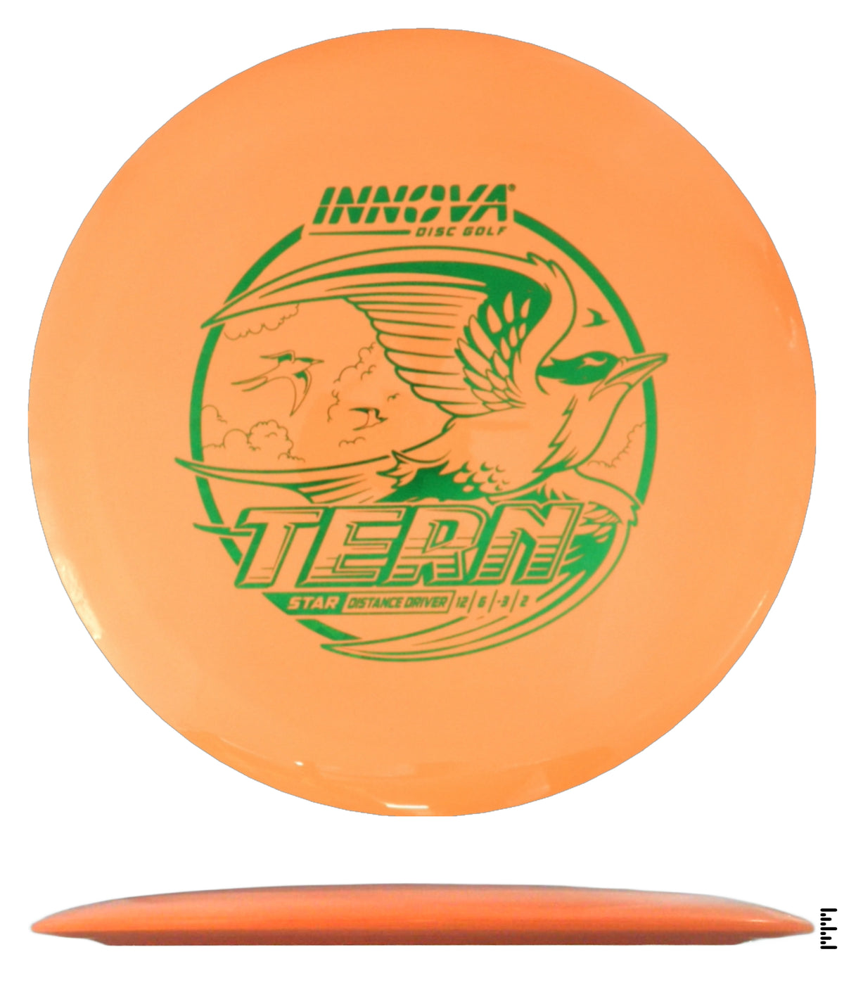Star Tern