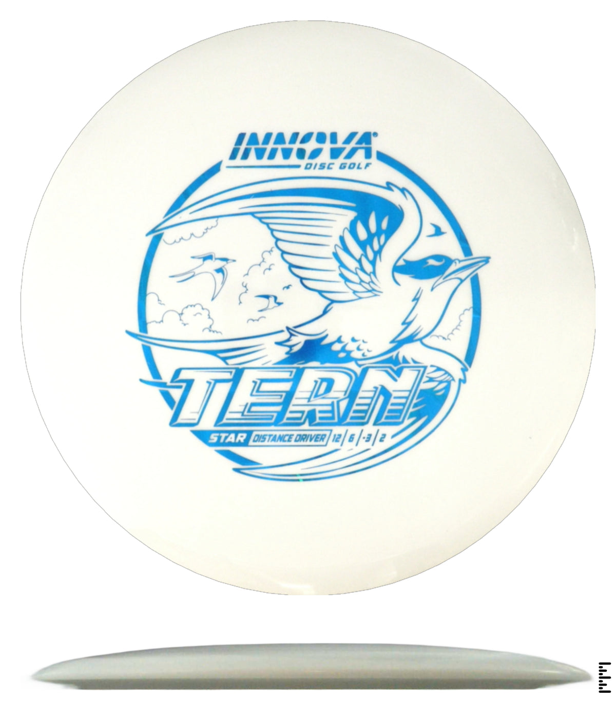 Star Tern