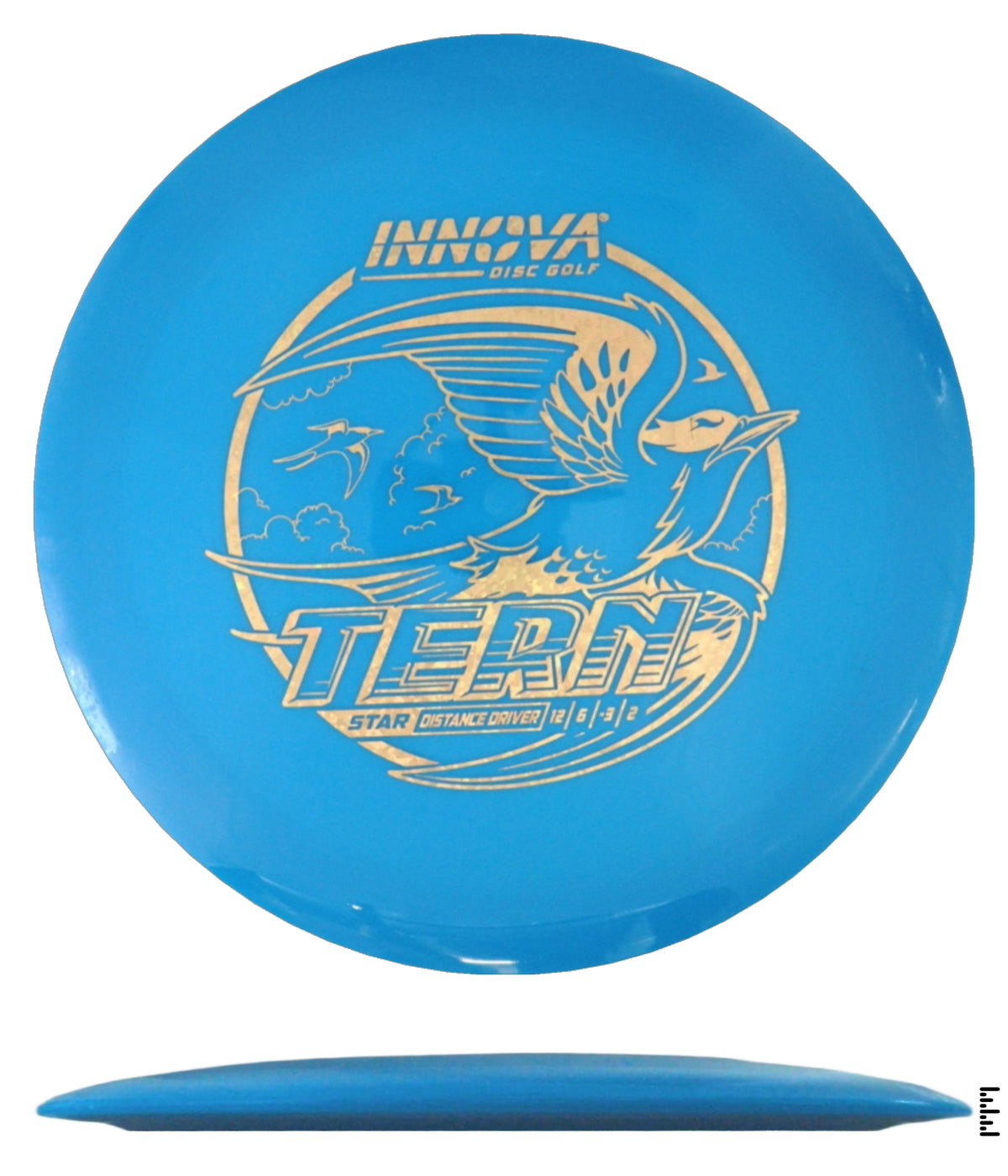 Star Tern